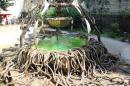Laboratoire Botanique en Floraferrie 20 * 5184 x 3456 * (10.32MB)